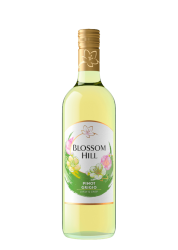 Blossom Hill Pinot Grigio 75Cl